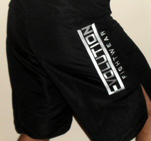 Evo 4 300x281 Product Review: Evolution Fightwear Sparring Shorts