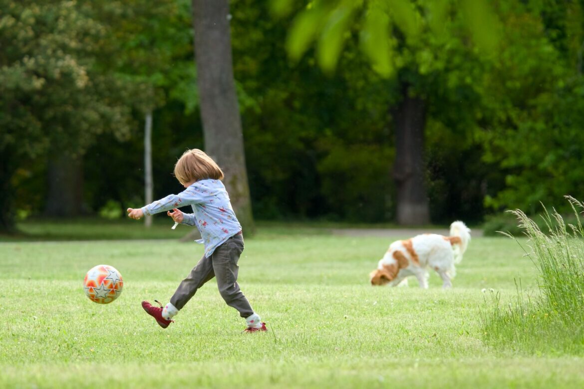 Children With Special Needs: Choosing the Right Family Dog - ilustracja artykulu