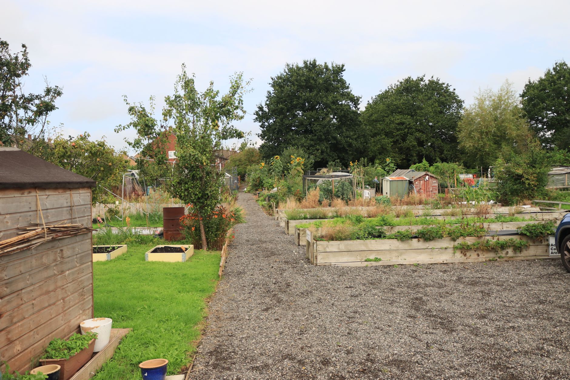 Allotment Waiting List How Long: Real UK Waits and How to Shorten Them - zdjecie w tresci